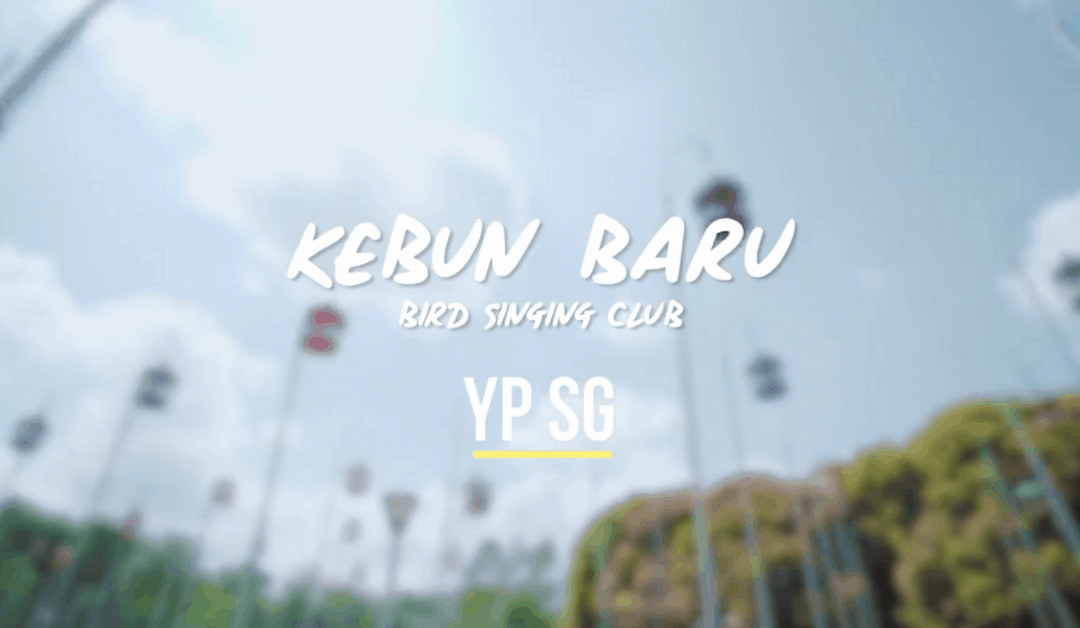 Kebun Baru Bird Singing Club